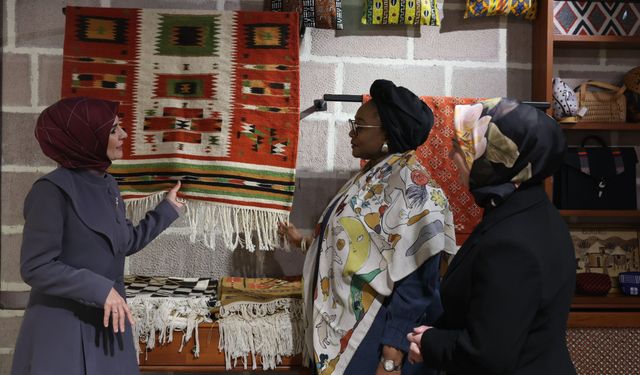 Bakan Göktaş, Nijeryalı mevkidaşı Imaan Sulaıman ile bir araya geldi