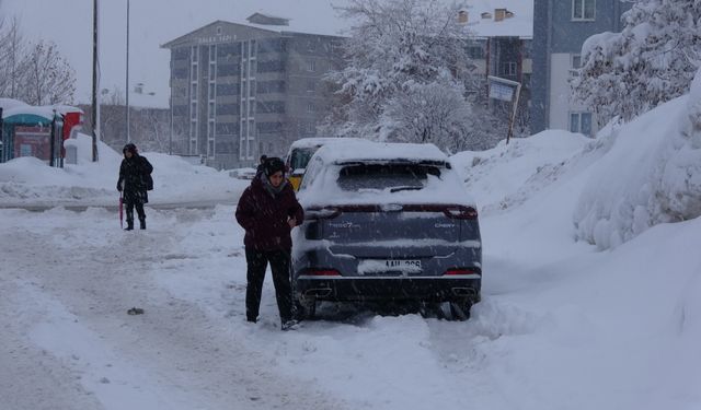 Bitlis'te kardan 229 yerleşim yerinin yolu kapandı