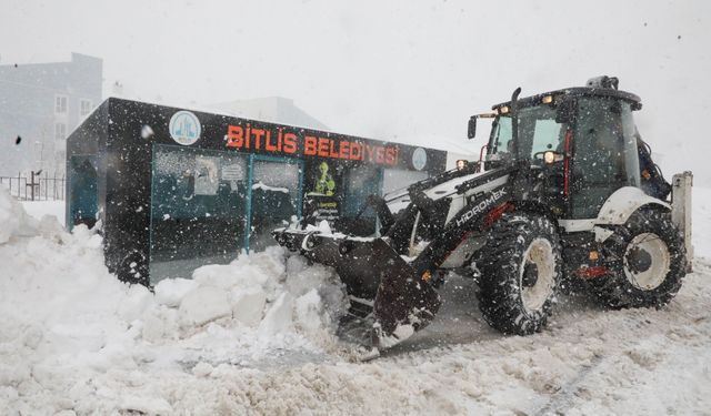 Bitlis'te kardan 51 köy yolu ulaşıma kapandı (2)