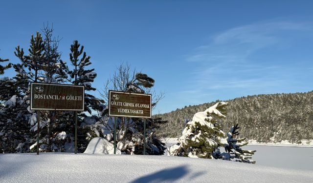 Bostancılar Göleti'nin yüzeyi buz tuttu