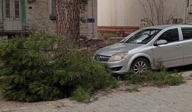Buldan'da kuvvetli fırtına, baca kapağını uçurdu, ağacı devirdi