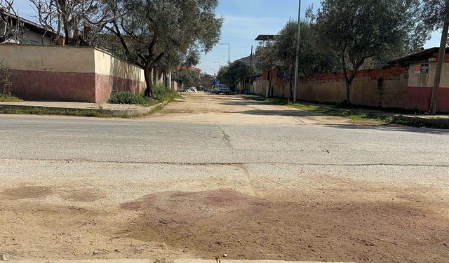 Fatma, 4 metre sürüklenip üç kez yere vurularak öldürülmüş