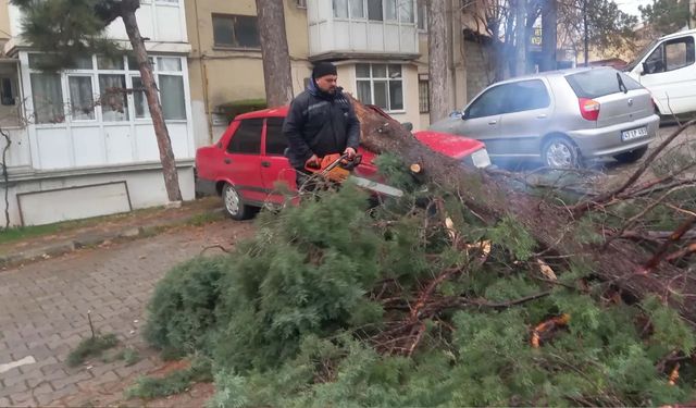 Gediz'de fırtına; ağaçlar devrildi, bina dış cephe kaplamaları söküldü