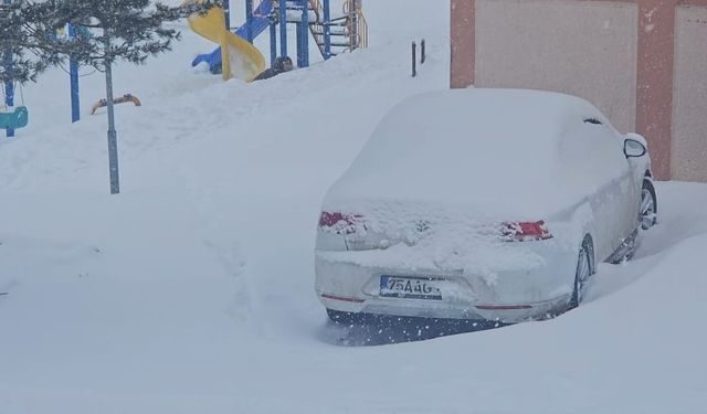 Göle buz kesti; termometreler eksi 39,7 dereceyi gösterdi