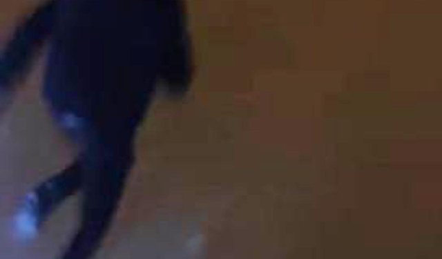 Görüntülemek istedikleri kurdun saldırısından araçlarına binerek kurtuldular