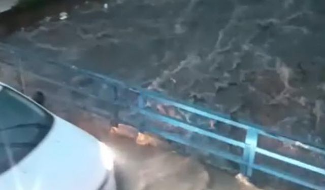 İzmir'de sağanak etkili oldu (2)