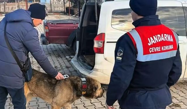 Jandarma köpek dövüşünü dronla tespit etti; 14 gözaltı