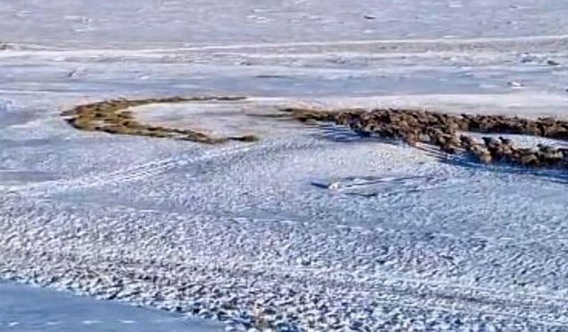 Karla kaplı arazide ay yıldız oluşturdu