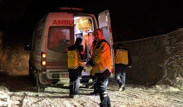 Kayan otomobil park halindeki bir başka otomobilin üzerine çıktı