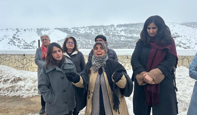 Kayıp Gülistan'ın ablası: Artık bir avuç toprağını, mezar taşını diliyoruz (2)