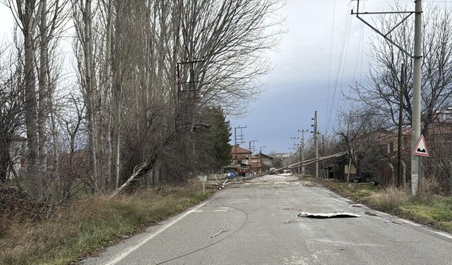 Kütahya'da kuvvetli fırtına nedeniyle ağaçlar devrildi