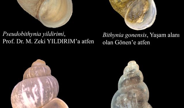 Prof. Dr. Odabaşı, 13 yılda 29 endemik türü literatüre kazandırdı