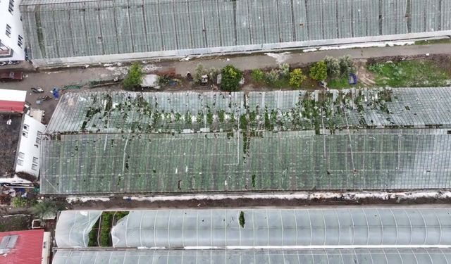 Seydikemer'de hortum, fırtına ve dolu seraları vurdu: 100 dönüm zarar