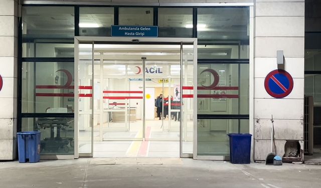 Siirt'te baba ile 4 çocuğu, sobadan sızan gazdan etkilendi