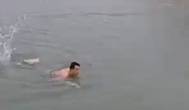 Soğuk havaya aldırmadan denize girip, yüzdü