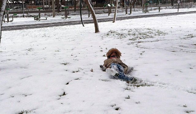 Tekirdağ'da kar yağışı (2)