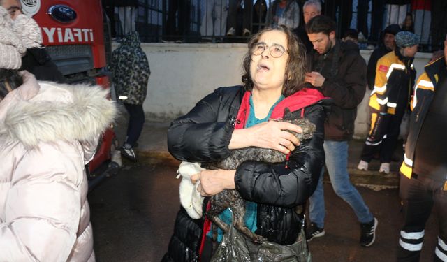 Tokat'ta yanan evdeki kedi itfaiye ekiplerince kurtardı
