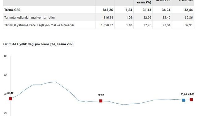 TÜİK: Tarımsal girdi fiyatları kasımda arttı