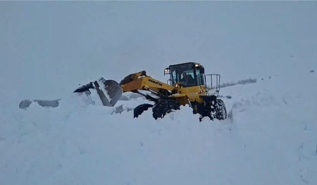 Tunceli'de 300 yerleşim yerinin yolu kar yağışı nedeniyle ulaşıma kapandı