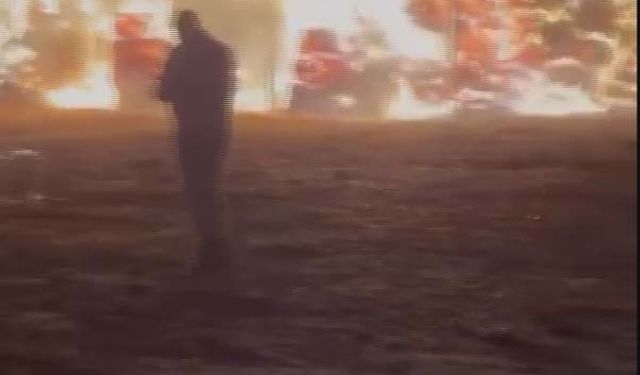 Unutulan ateşin közünden sıçrayan kıvılcımlar, çiftlikteki saman balyalarını yaktı
