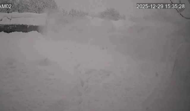 Üzerinde kar biriken seranın çökme anı kamerada