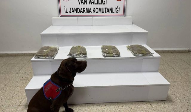 Van kırsalında 5 kilo kubar esrar ele geçirildi