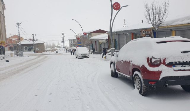 Van'da 90 yerleşim yerinin yolu kardan kapandı