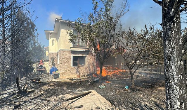 'Yangını durdurmak ve önlemek için geçiş kuşaklarını oluşturmak gerekiyor'