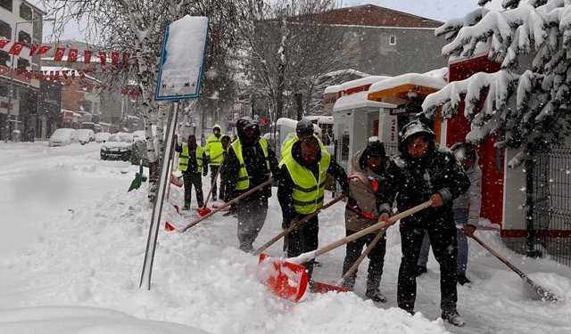 Ardahan'a erken gelen leylekler kara yakalandı