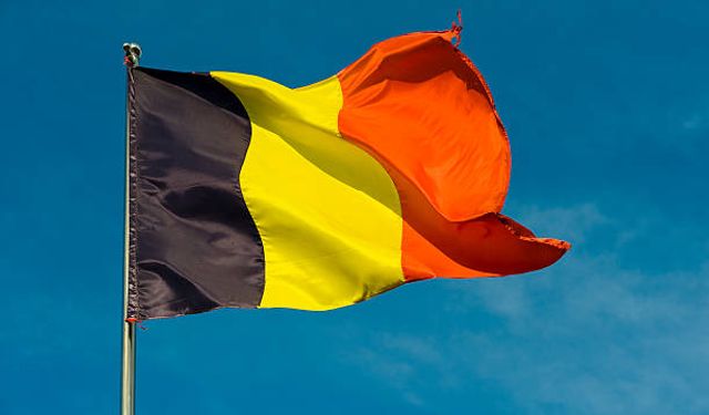 Belçika'daki doğal gaz kesintisinden 12 bin hane etkilendi