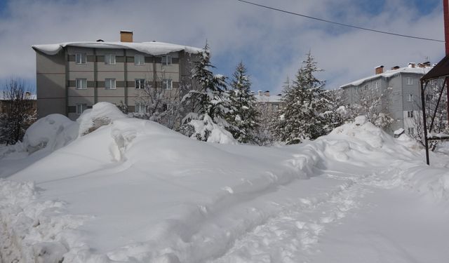 Bitlis'te kardan kapanan 254 köy yolu ulaşıma açıldı