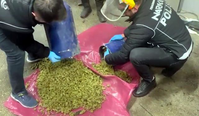 Bulgaristan plakalı otomobilde 24,5 kilo skunk ele geçirildi