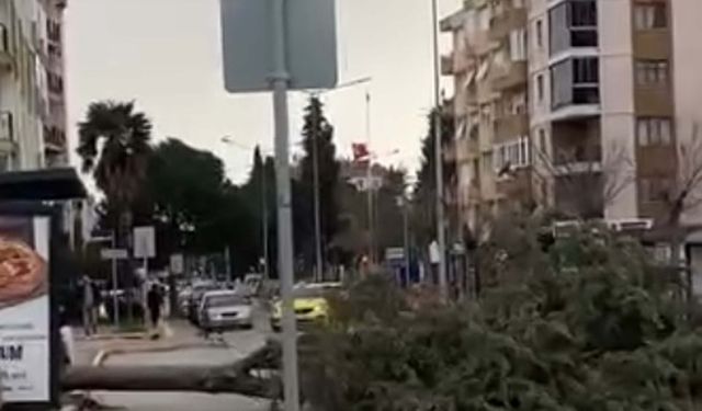 Çanakkale'de fırtınada ağaçlar devrildi, balkon duvarı yıkıldı