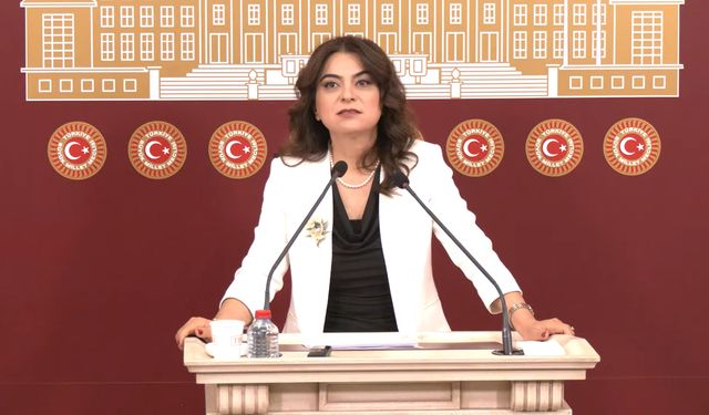 DEM Parti'li Koçyiğit: Türkiye'nin geleceği için rapor önemli bir eşik olacak