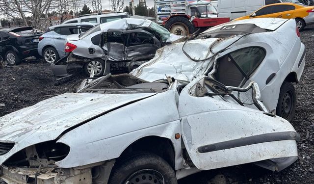 Direğe ve ağaçlara çarpan otomobilin sürücüsü öldü