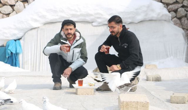 Evinin damında 3 ırktan 50 güvercin besliyor