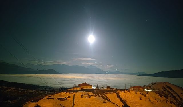 Hakkari'de sis etkili oldu