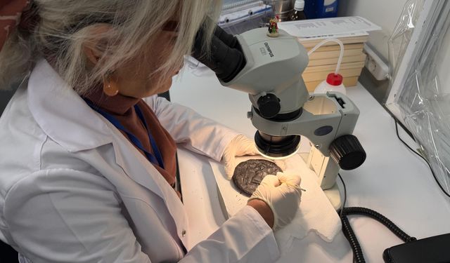 Hz. İsa tasvirli 1300 yıllık ekmeklerin konservasyonu, 2 yılda tamamlandı