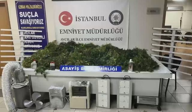 İstanbul - Avcılar'da metruk binada uyuşturucu imalathanesi bulundu