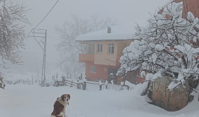 Kastamonu'da 243 köy yolu ulaşıma kapandı