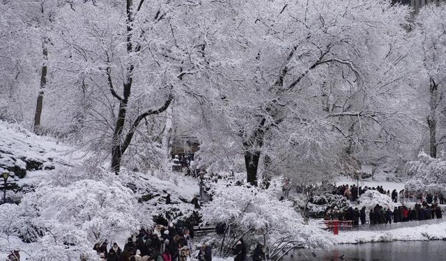 New York'ta soğuk hava nedeniyle 18 kişi hayatını kaybetti