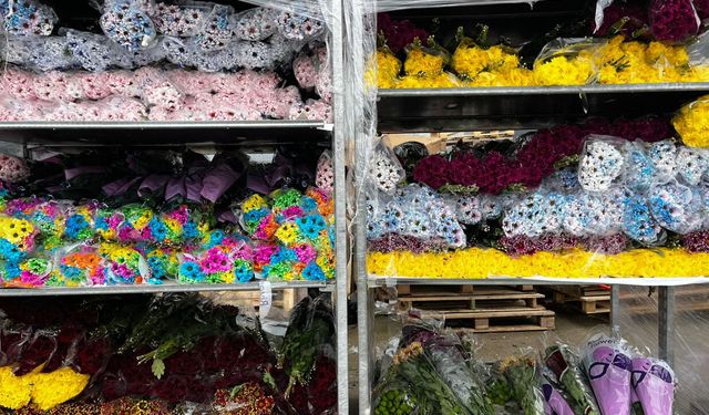 Sevgililer Günü için Hollanda'dan da çiçek getirttiler