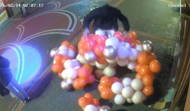 Sevgililer Günü süslemesi için asılan balonlara zarar verdi; o anlar kamerada