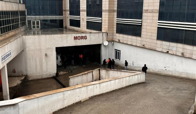 Siirt'te devrilen kamyonun şoförü öldü