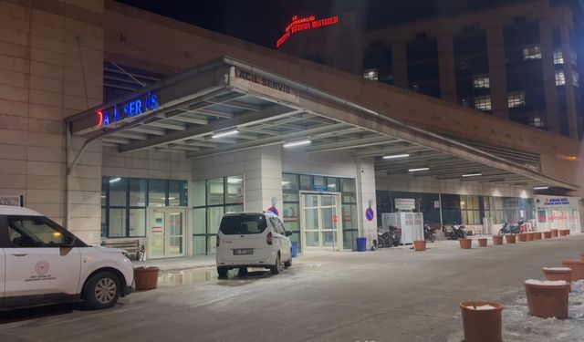 Siirt'te hayvan otlatma kavgası: 15 yaralı