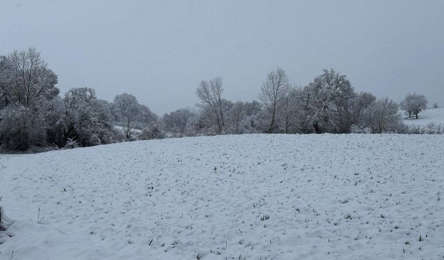 Tekirdağ'ın yüksek kesimleri beyaza büründü