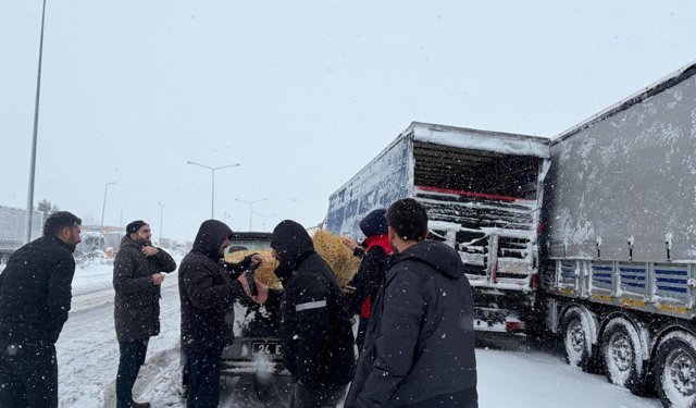 TIR'larda mahsur kalan 200 büyükbaşa yem desteği