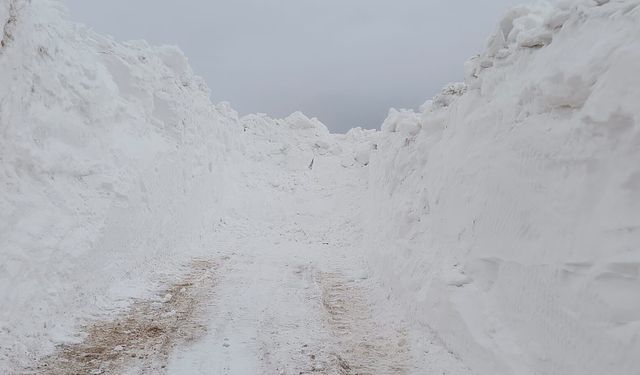 Van'da ekiplerin zorlu karla mücadele çalışması