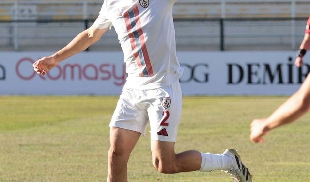 Altınordu'da Birhan kesik yedi