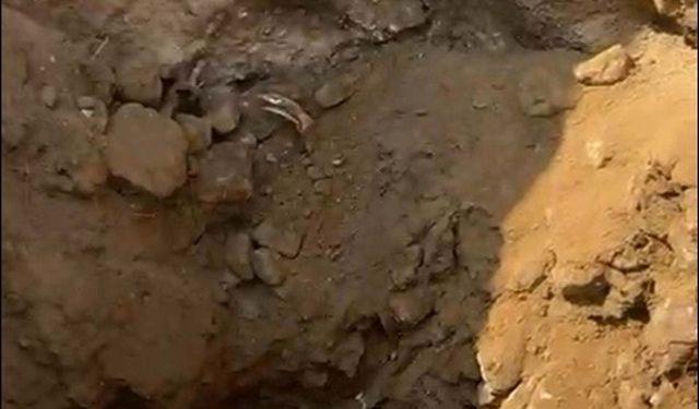 Aydın'da 16 yıldır kayıp iki kardeş ile ilgili yeniden soruşturma başlatıldı